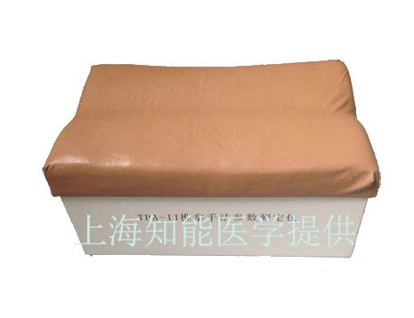推拿模型