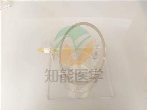 實拍圖1