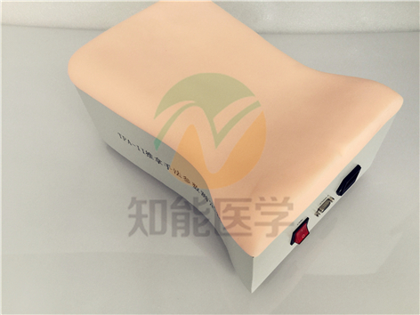 推拿模型